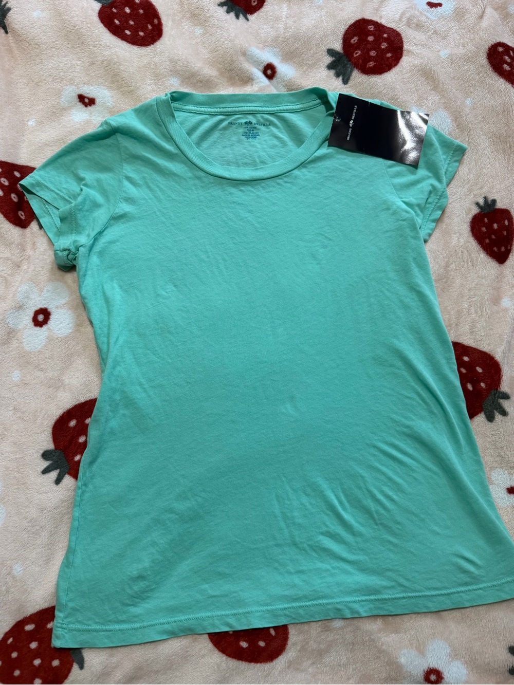Brandy Melville Teal Top